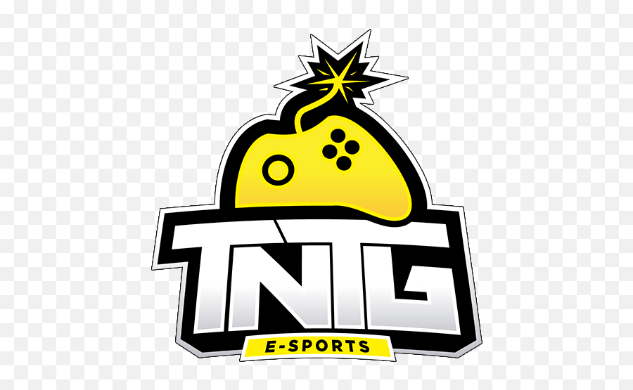 Tntg Esports - Liquipedia Paladins Wiki Big Png,Paladins Logo