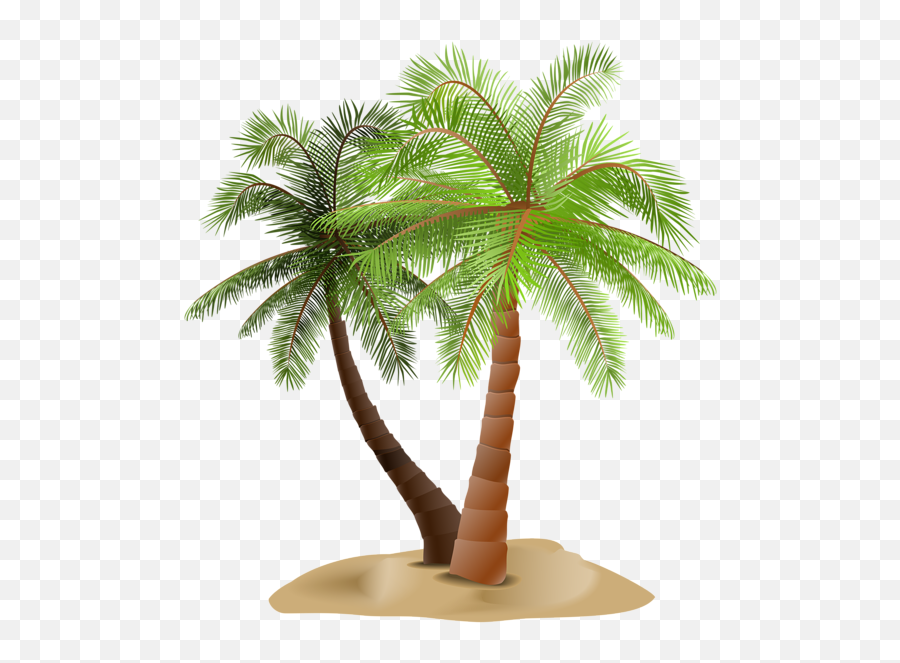 Library Of Date Palm Tree Png Stock Files - Portable Network Graphics,Palm Trees Png