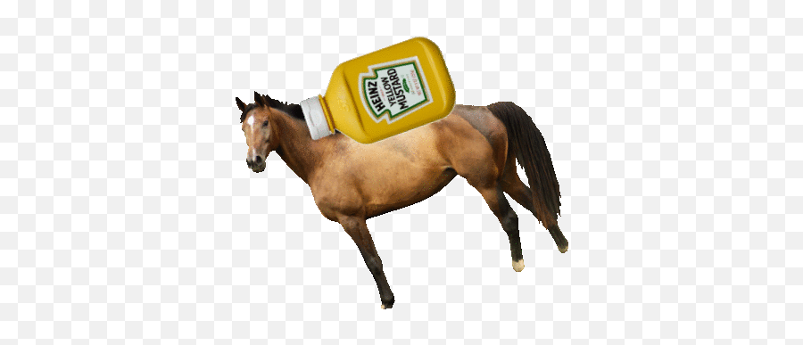 Horse Mustard Gif - Horse Supplies Png,Horse Icon On Tumblr