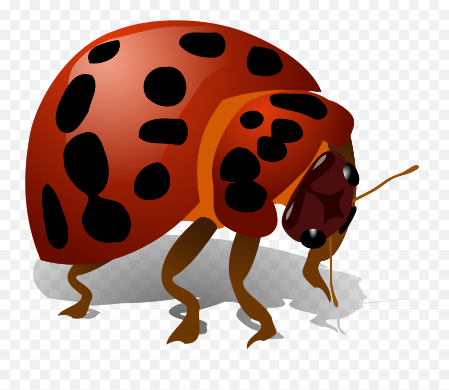 Beetle Bug Icon Favicon - Dokusu Olan Hayvanlar Uur Böcei Png,Beetle Icon