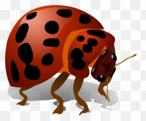 Beetle Bug Icon Favicon - Dokusu Olan Hayvanlar Uur Böcei png