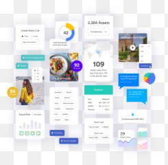 What Is Digital Asset Management Dam - Brand png