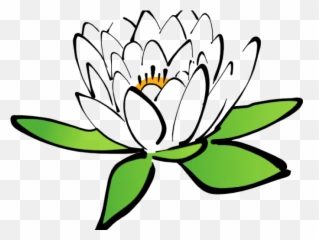Flower Clipart Transparent Background - Lotus Drawing With Cartoon Flowers png