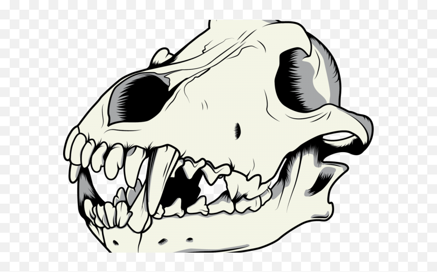 Mouth Clipart Wolf - Dog Skull Png,Dinosaur Skull Png