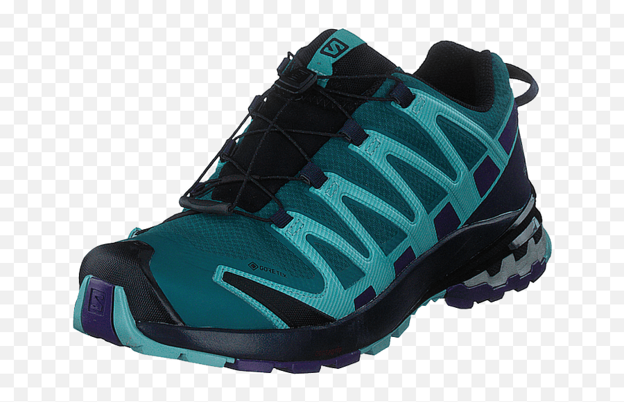 Shop Salomon Gear U0026 Footwear Online From Mt Outdoors - Salomon Xa Pro 3d V8 Gtx Shaded Spruce Evening B Meadowbrook Png,Salomon Icon Gtx M