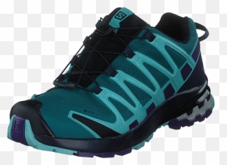 Shop Salomon Gear U0026 Footwear Online From Mt Outdoors - Xa Pro 3d V8 Gtx Shaded Spruce Evening B Meadowbrook png