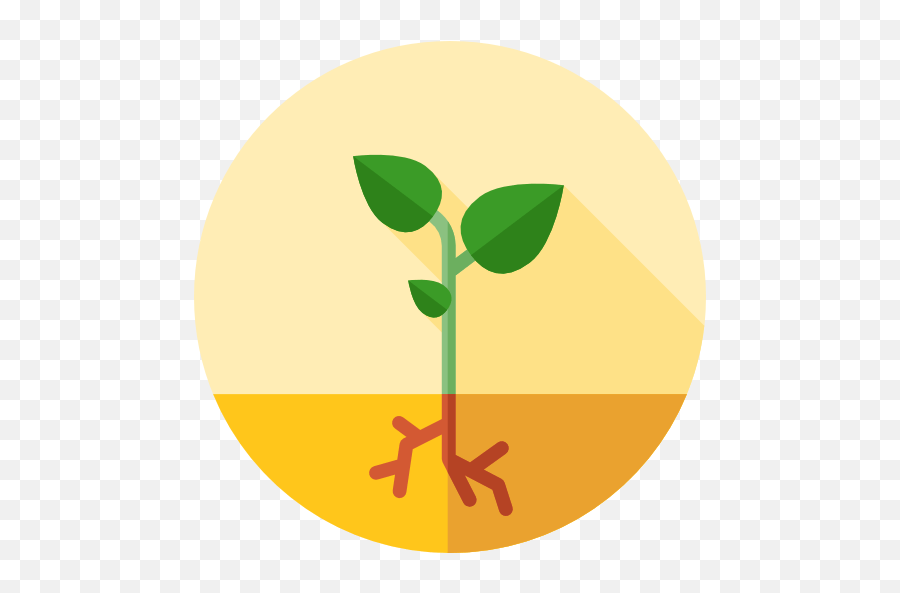 Growing Herbs For Profit A Quick Start Guide Plant Grow Png Dry Herb Icon