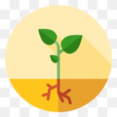 Growing Herbs For Profit A Quick Start Guide Plant Grow Png