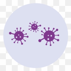 What Is Myelodysplasia Explained Bowen - Dot png