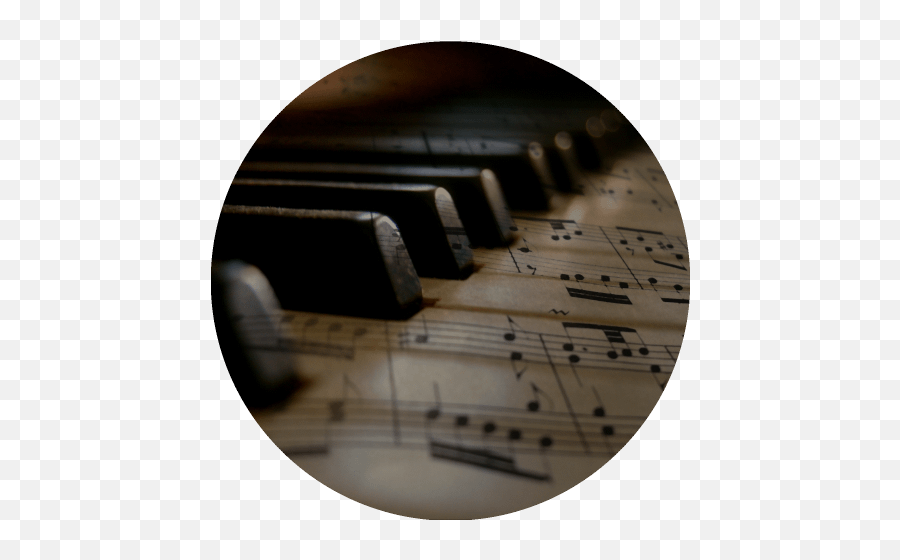 Music Roots Academy - Winter Piano Png,Fun Piano Icon