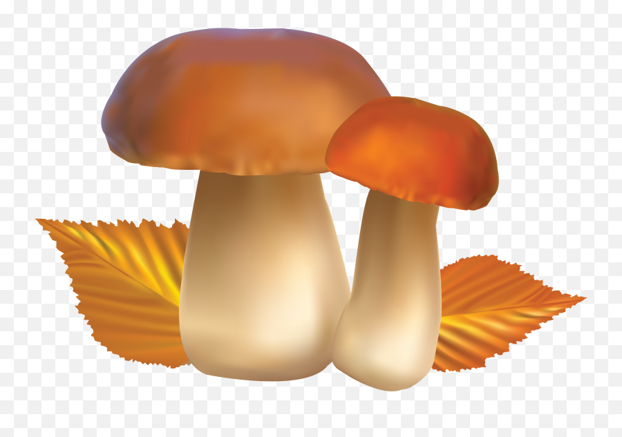Mushroom Png Pic - Clip Art Mushrooms,Mushroom Png