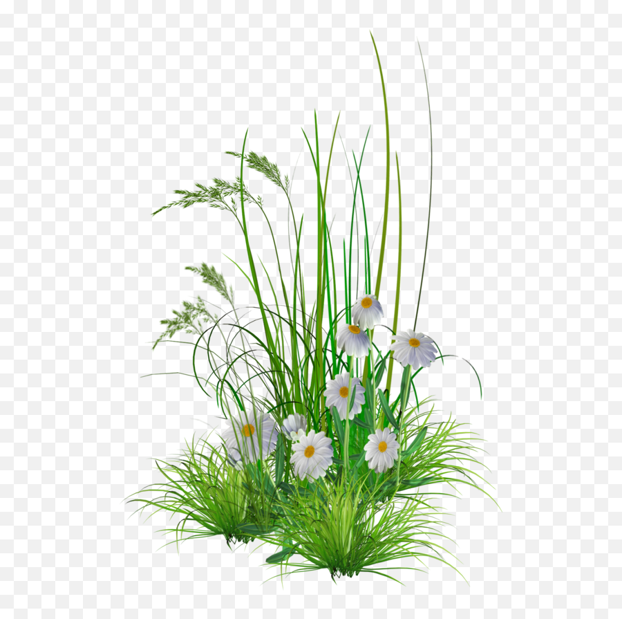 3340911494 Png Flower Bed