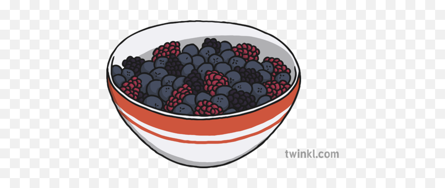 Bowl Of Berries Illustration - Twinkl Bilberry Png,Berries Png