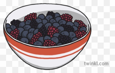 Bowl Of Berries Illustration - Twinkl Bilberry Png,Berries Png