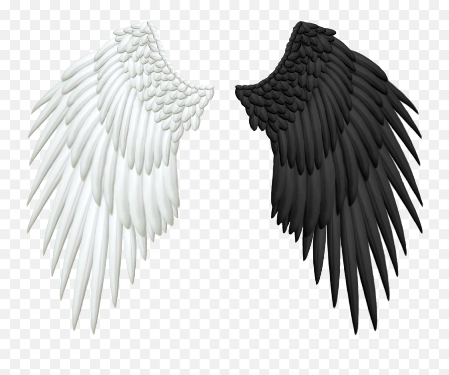 Half Wings Png Transparent - Black And White Angel Wings,Wing Png