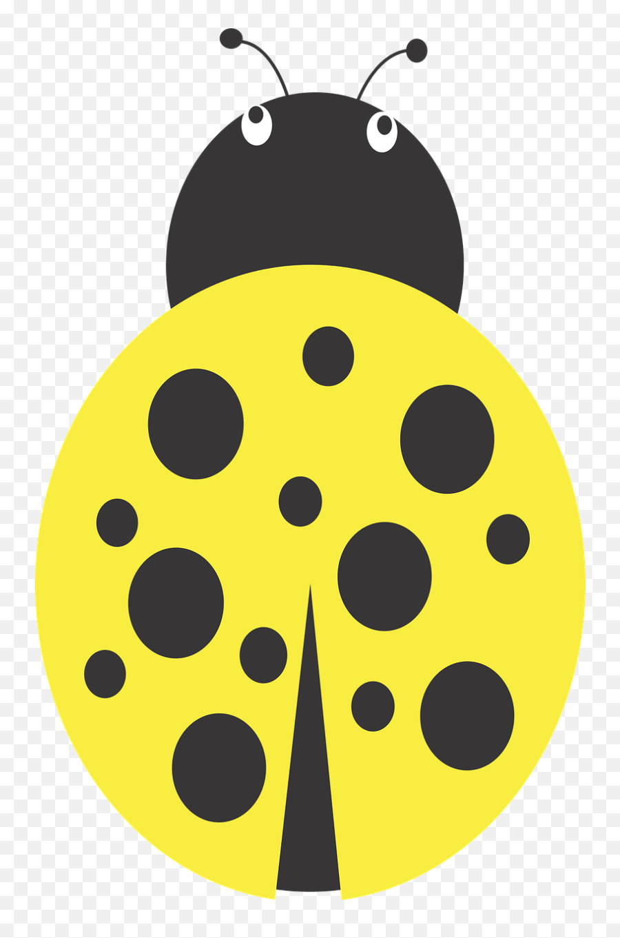 Download Hd Yellow Bug For Free - Beetle Marktbrunnen Png,Beetle Png