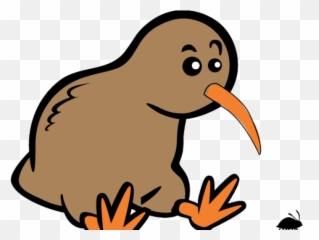 Kiwi Bird Png 5 Image - Kiwi Bird Cartoon Png,Kiwi Bird Png - free ...