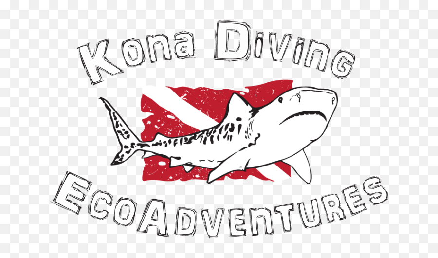 Manta Ray Night Ecoadventures U2014 Kona Diving - Great White Shark Png,Manta Ray Png