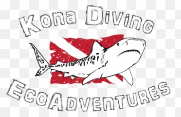 Manta Ray Night Ecoadventures U2014 Kona Diving - Great White Shark Png,Manta Ray Png