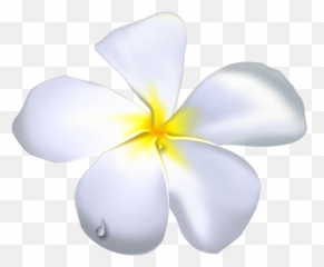 Plumeria Flower Png - Black Outline White Flowers Temple Temple Flower Clipart,Plumeria Flower Png