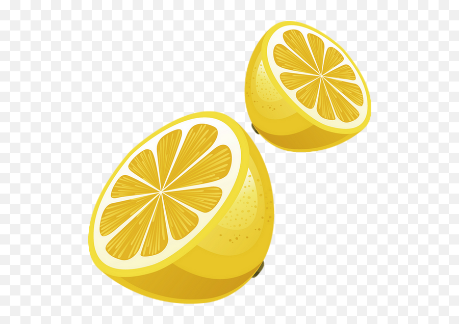 Citron Png Tube Fruit Agrume - Lemon Png Citrus Clipart Transparent Lemon Vector Png,Lemon Png