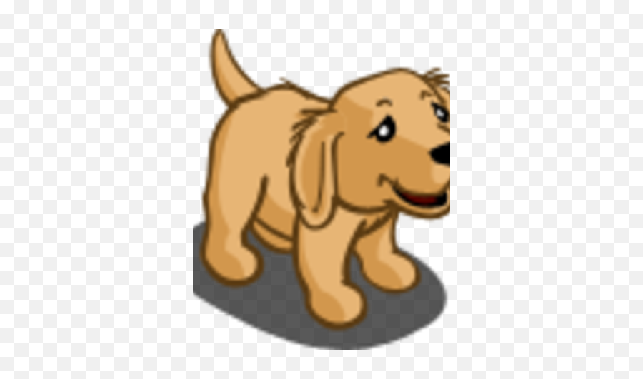 Golden Retriever Puppy - Companion Dog Png,Golden Retriever Png