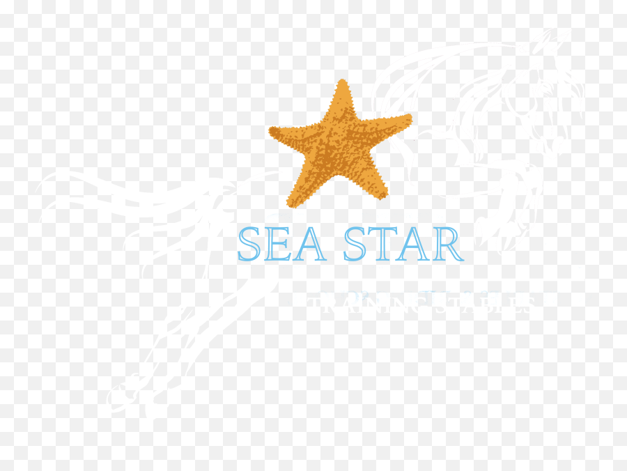 Sea Star Training Stables - Stallion Png,Star Stable Logo