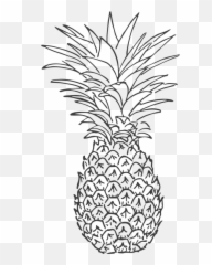 Pineapple Fruit Tropic - Free vector graphic on Pixabay Fruits Clipart Black And White png
