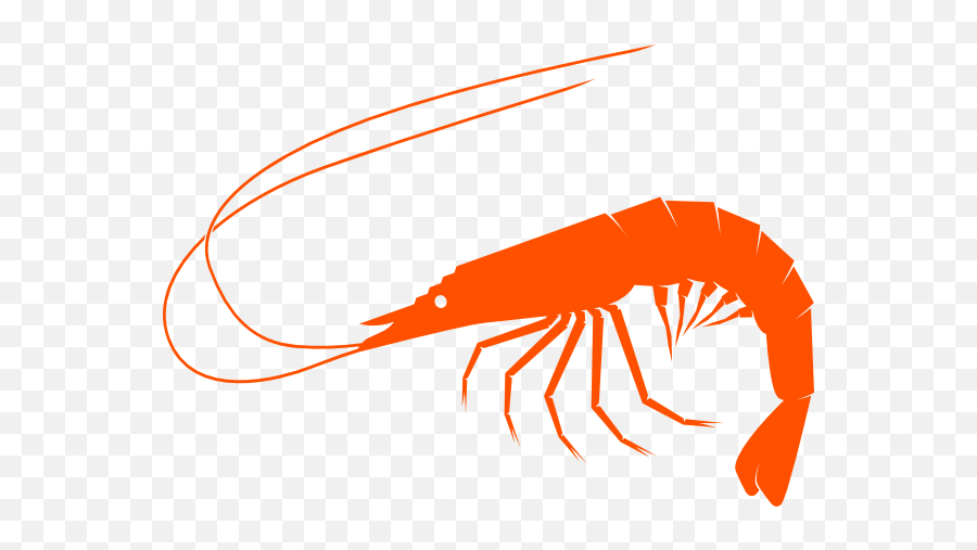 Shrimp Png Images Transparent Background Play - Transparent Background Shrimp Clipart Transparent,Free Png Clipart