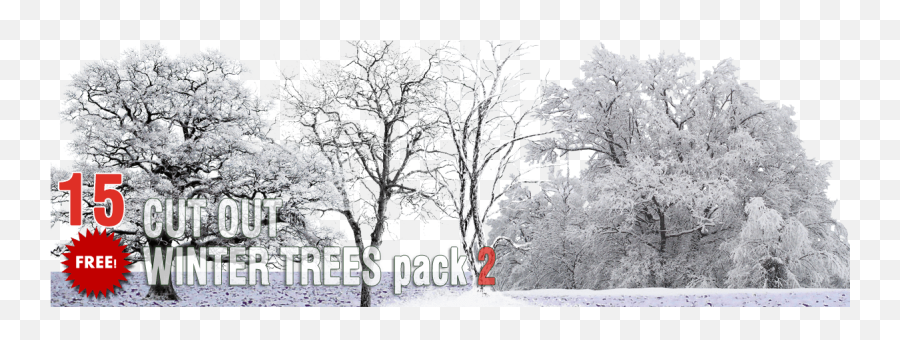 Packs - Cut Out Vegetation Trees Cut Out Winter Trees Winter Trees Cut Out Png,Cut Png