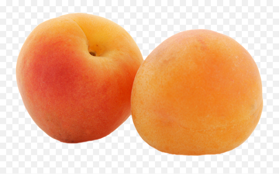 Image Result For Apricots Transparent Background Peach - Apricot Png,Peach Transparent Background