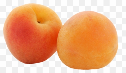 Image Result For Apricots Transparent Background Peach - Apricot Png,Peach Transparent Background