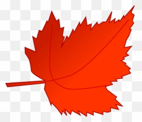 Tags For Leaf Wallpapers - Full Hd Wall Red Leaves Clipart Png,Red Leaf Logo