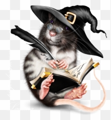 Rats Princess Zelda Png
