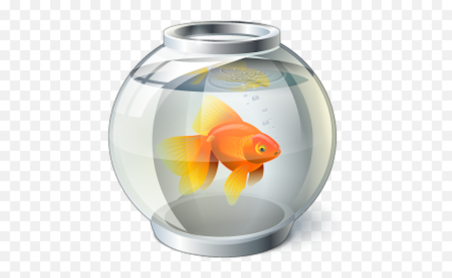 Goldfish Bowl Computer Icons - Others Png Download 512512 Fish In A Fishbowl Png,Goldfish Transparent