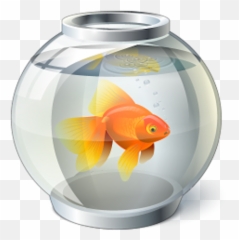 Goldfish Bowl Computer Icons - others png download 512512 Fish In A Fishbowl Png