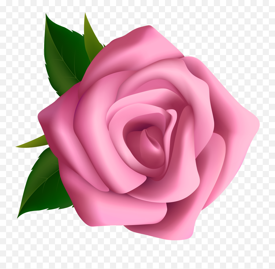 Clipart Roses Pink Rose Transparent Png Hd
