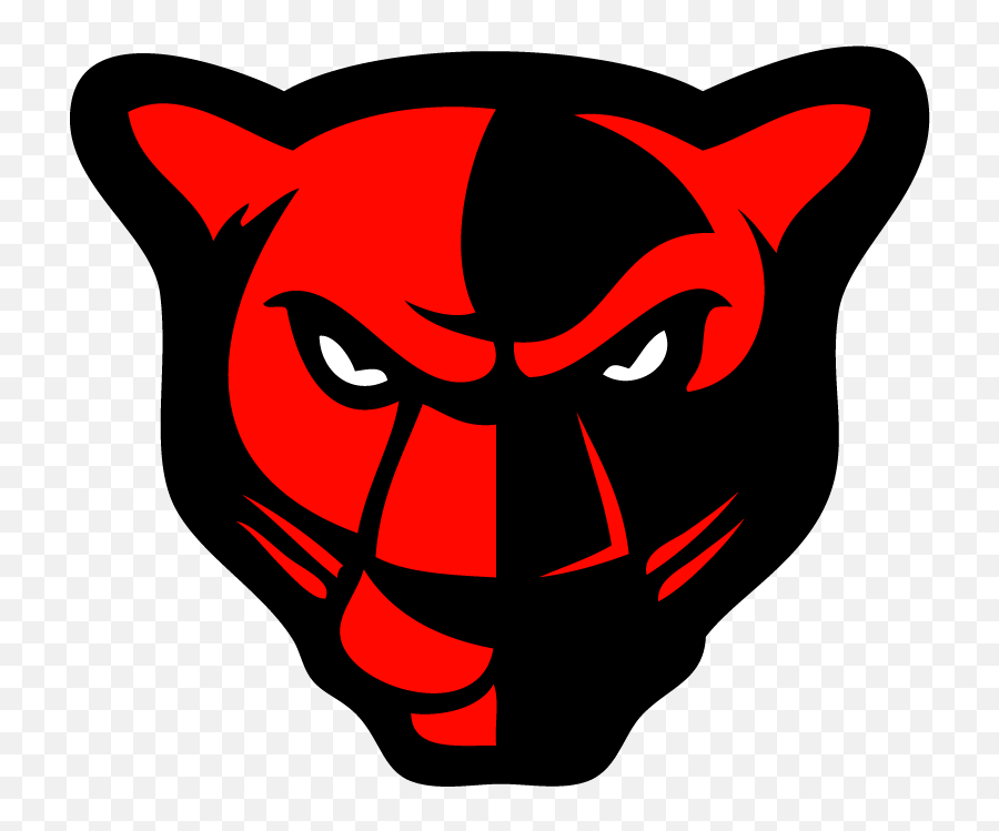 Pantera Logo Kids Sports Panthers - Petal Panther Png,Pantera Logo Png