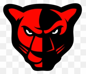 Pantera Logo Kids Sports Panthers - Petal png