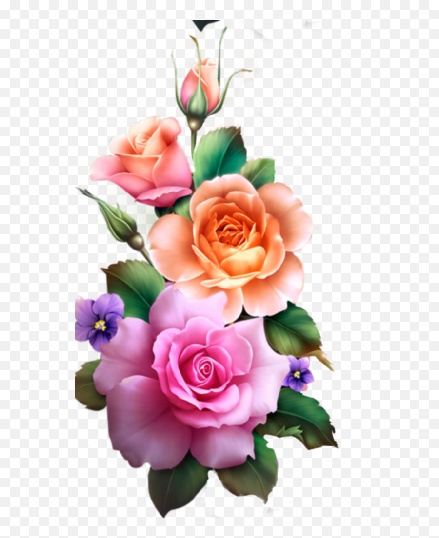 Rose Roses Flower Flowers Real Nature Edit Freetoedit - Transparent Flower Png Hd,Real Rose Png