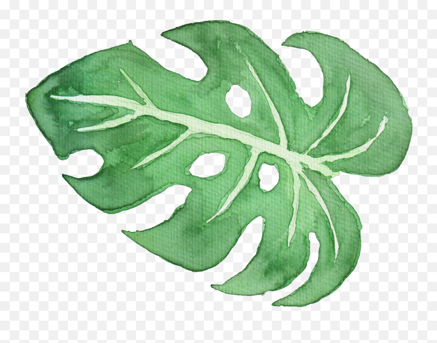 Download Tropical Leaf Watercolor Png - Watercolor Palm Leaf Png,Watercolor Png