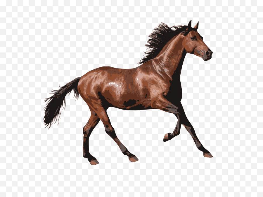 Transparent Horses Tan U0026 Png Clipart Free - Horse Transparent,White Horse Png