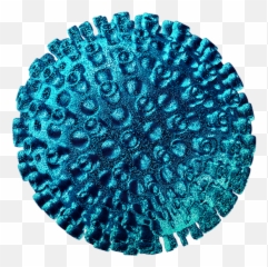 Digital - Say What Hepatitis C png