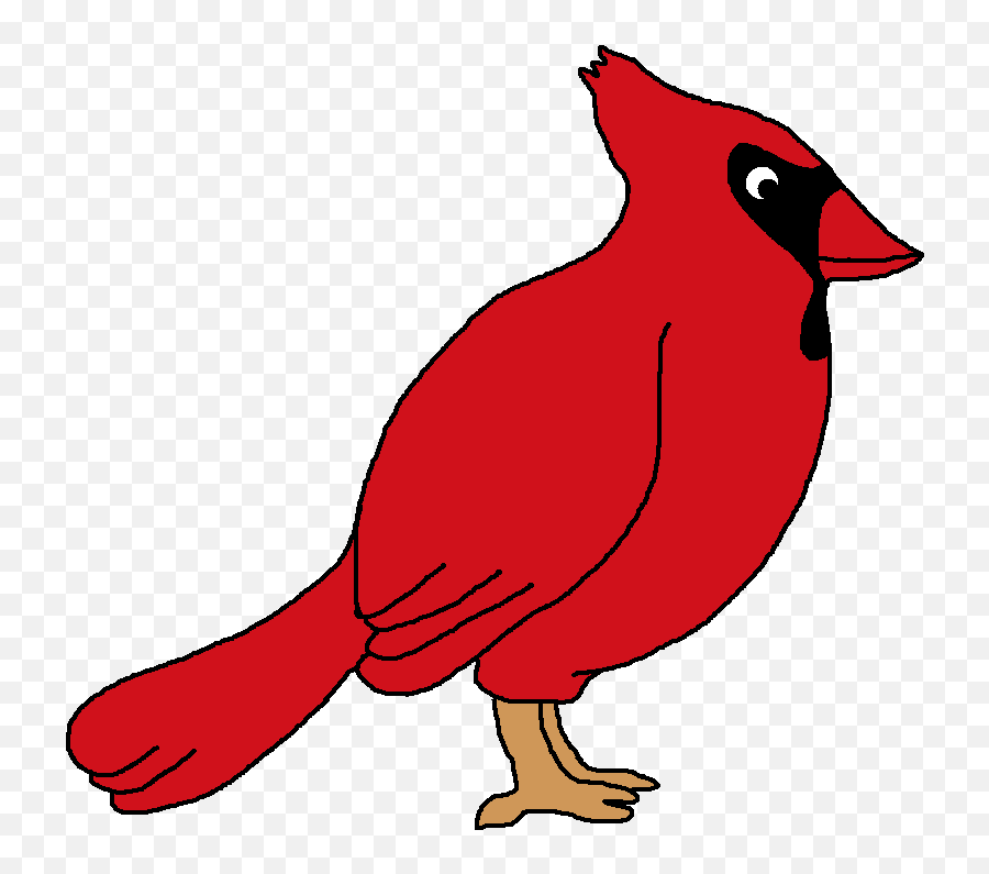Library Of Red Bird Picture Transparent - Red Bird Clip Art Png,Cardinal Png