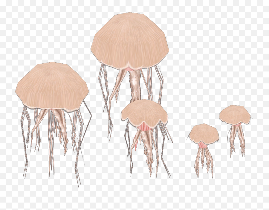 Jellyfish Zoo Tycoon Wiki Fandom - Wild Mushroom Png,Jellyfish Icon