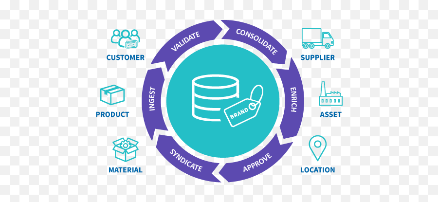 Multi - Domain Master Data Management Mdm What Who U0026 Why Data Syndication Png,Master Data Management Icon