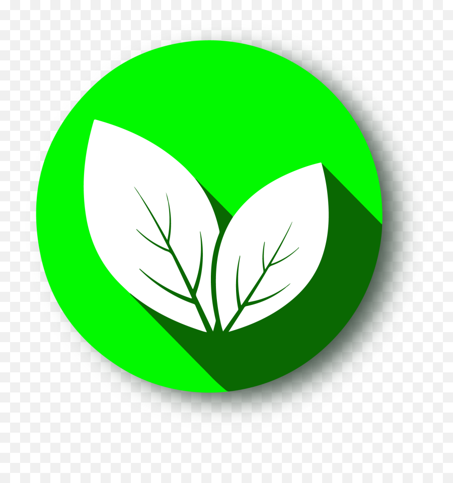 Green Hockey - Language Png,Green Chat Icon Brand