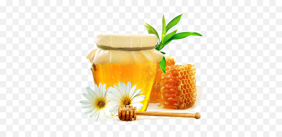 Honey Transparent Png Image - Honey Png,Honey Transparent