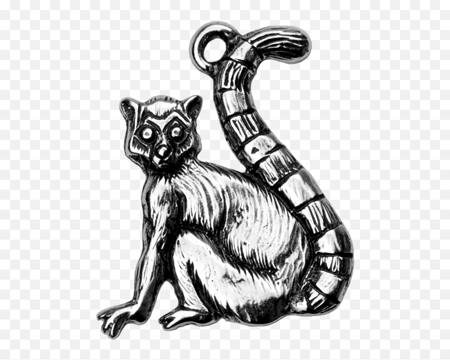 Download Hd Lemur - Illustration Transparent Png Image Fossa,Lemur Png