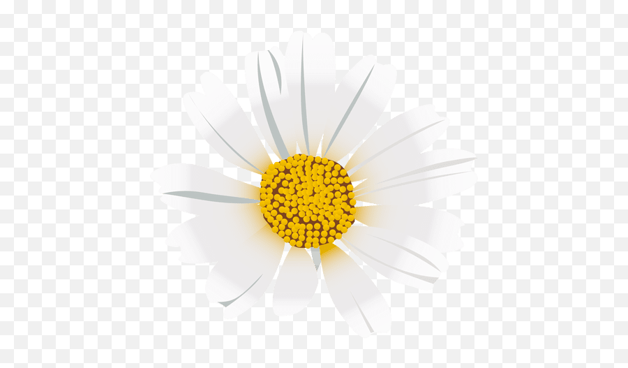 Daisy Flower Cartoon - Transparent Png U0026 Svg Vector File Portable Network Graphics,Flower Cartoon Png